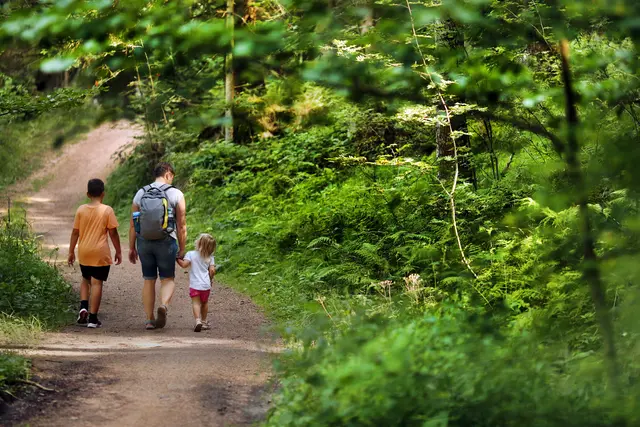 Spannende Ausflüge sind im Mostviertel möglich. | Foto: Waldviertel Tourismus/weinfranz