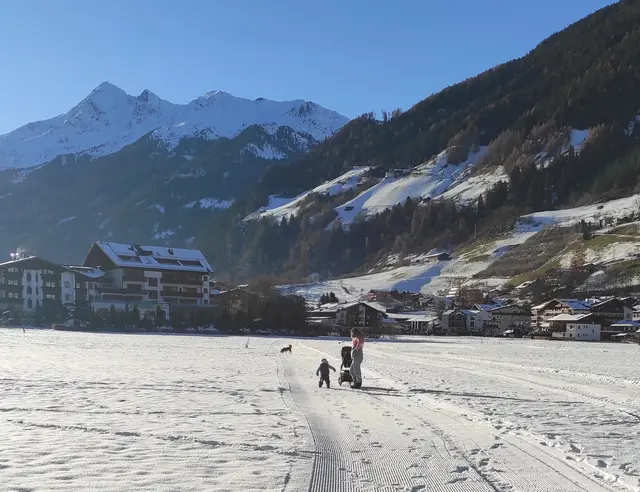nicht angeleint und ausserhalb des Einflussbereichs | Foto: TBW Est. Stubai