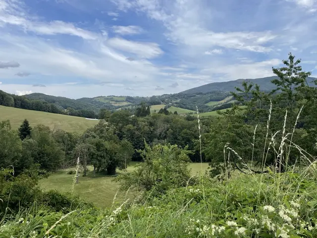 Die LEADER-Region Elsbeere Wienerwald ist unter den 62 neuen europäischen Modellregionen für Klimaanpassung dabei | Foto: Lauren Fahrenberger / MeinBezirk