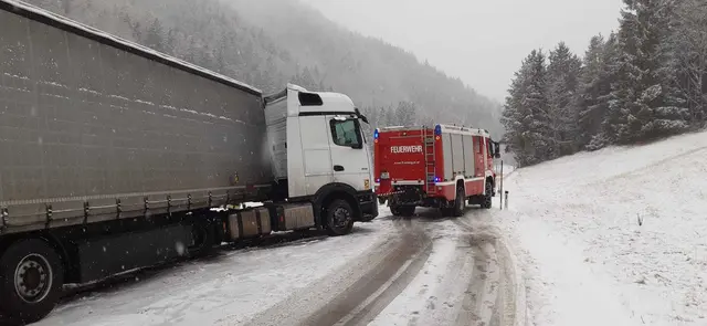 Die Mannschaft arbeitete Hand in Hand, um die Bergung rasch abzuschließen. | Foto: Feuerwehr St. Aegyd Markt