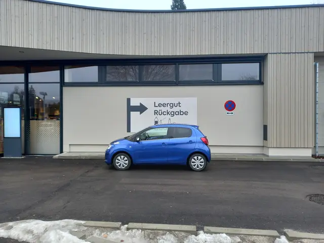 Provokantes Parkverhalten in Pitten. | Foto: Name d. Fotografen d. Red. bekannt