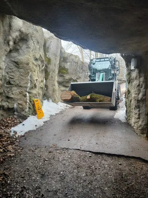 Foto: Zoo Schmiding /Sterns