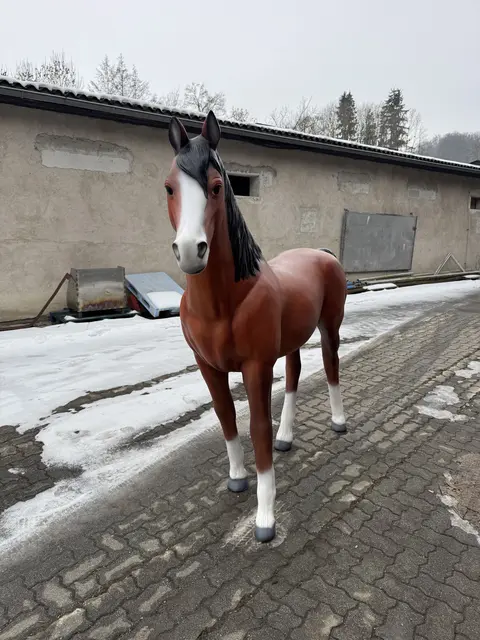 "Pferdinand" ist nun bei der Tierhilfe Gusental in Pichl bei Wels eingezogen und soll den Ehrenamtlichen bei der Großtierrettung helfen. | Foto: THG