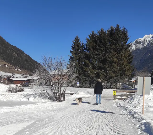 Viele Hundehalter halten sich an Verbote. | Foto: TBW Est. Stubai