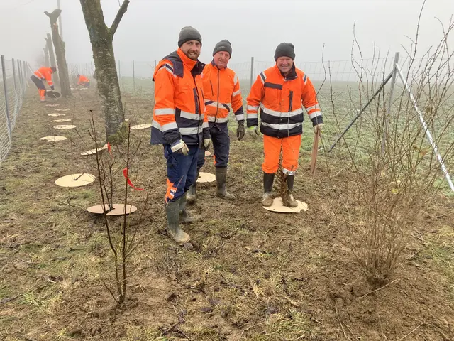 Der Baudienst der Gemeinde Vöcklamarkt pflanzte die 800 Sträucher mit Unterstützung des Landes OÖ und der örtlichen Jägerschaft. | Foto: Land OÖ