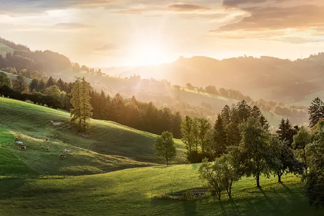 Die sanften Hügel und üppigen Wiesen strahlen in warmen Farben, während die Sonne langsam hinter den Bergen aufgeht. Kühe grasen friedlich in der idyllischen Landschaft, die von majestätischen Bäumen gesäumt ist. Ein Ort der Ruhe und der natürlichen Schönheit, ideal für einen erholsamen Aufenthalt in der Natur. | Foto: Niederösterreich Werbung/schwarz-koenig.at