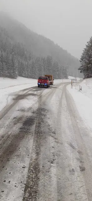 Feuerwehrmänner unterstützten weitere Lkw-Fahrer beim Anlegen der Schneeketten. | Foto: Feuerwehr St. Aegyd Markt