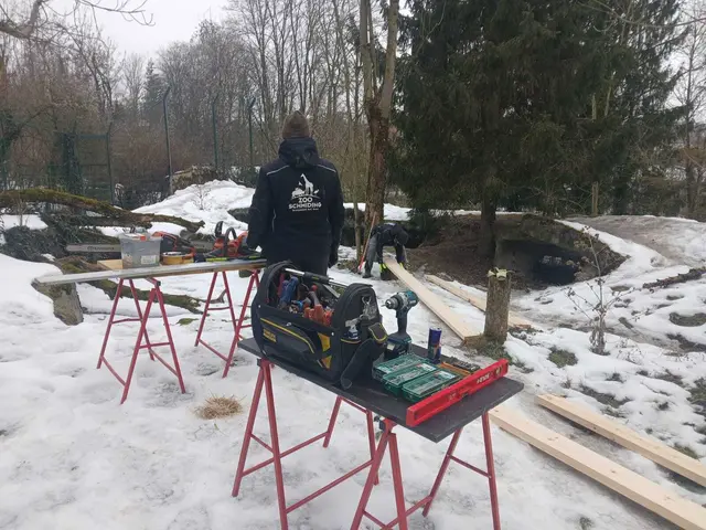 Foto: Zoo Schmiding /Sterns