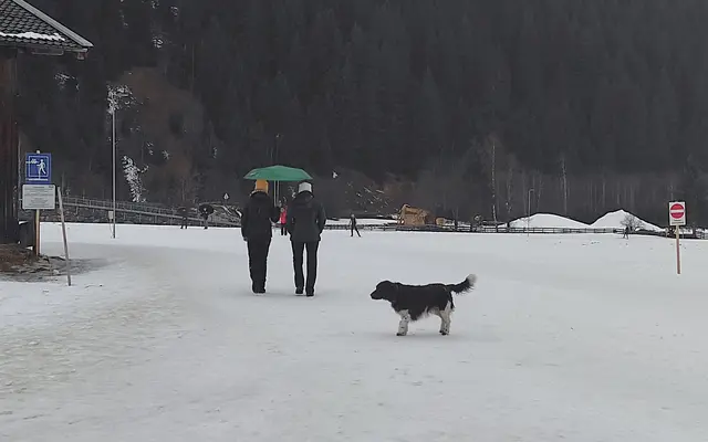 Hund in Falbeson zwischen Langläufern und Wanderern | Foto: TBW Est. Stubai