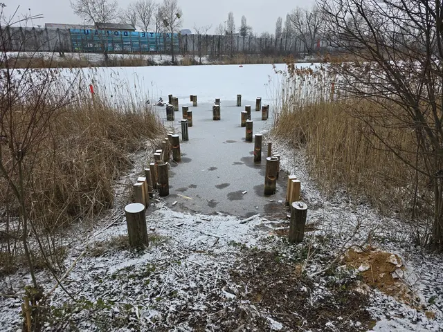 Liegen kann man hier nicht. Seit einiger Zeit fehlen einige Stege an der unteren Alten Donau. | Foto: Lukas Ipirotis/ MeinBezirk