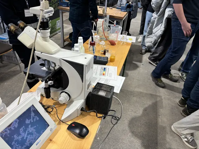 Foto: MeinBezirk Salzburg