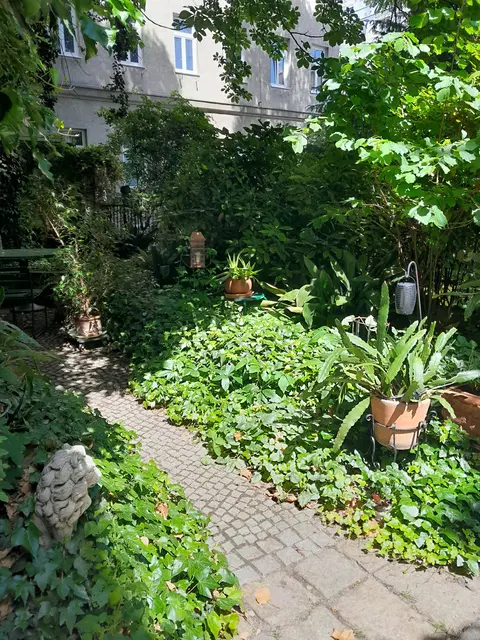 Die Bewohnerinnen und Bewohner des Hauses sind stolz auf ihre kleine grüne Oase. Umso schmerzhafter war es, als der Gingko ohne Genehmigung gefällt wurde. | Foto: zVg