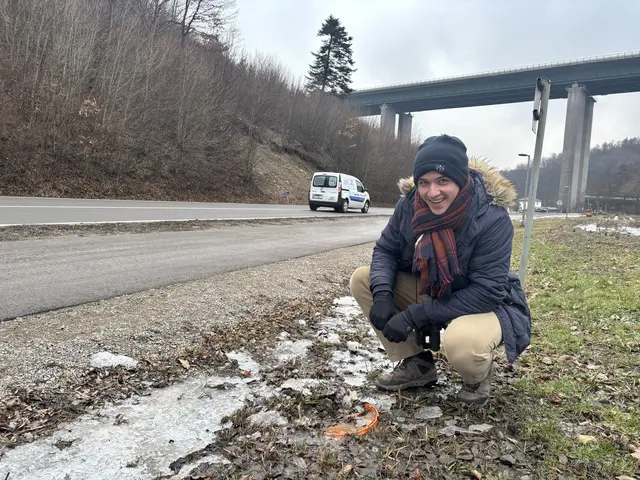 Die Kübel an der Hauptstraße bleiben eingegraben, der Zaun wird für rund zwei Monate aufgestellt. | Foto: Lauren Fahrenberger / MeinBezirk