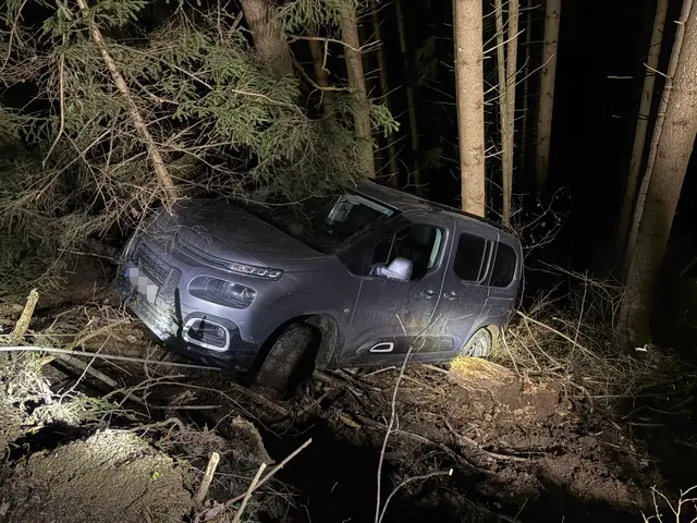 Der PKW der 65-Jährigen rutschte auf einem vereisten Forstweg am Weerberg über eine Böschung und kam an einem Baumstamm zum Stillstand. | Foto: zoom.tirol