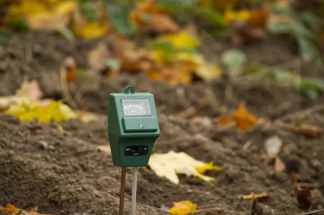 Moderne Technik kann Arbeit abnehmen: Smarte Timer und Feuchtesensoren halten Beete gleichmäßig versorgt, ohne dass ständig kontrolliert werden muss. | Foto: panthermedia/NetPix