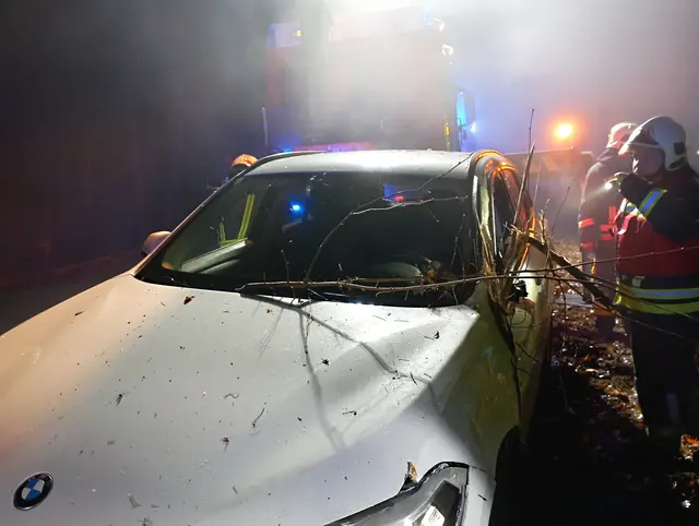 Ein Pkw ist aus ungeklärter Ursache von der Straße abgekommen und in steiler Böschung gelandet.  | Foto: FF Pinkafeld