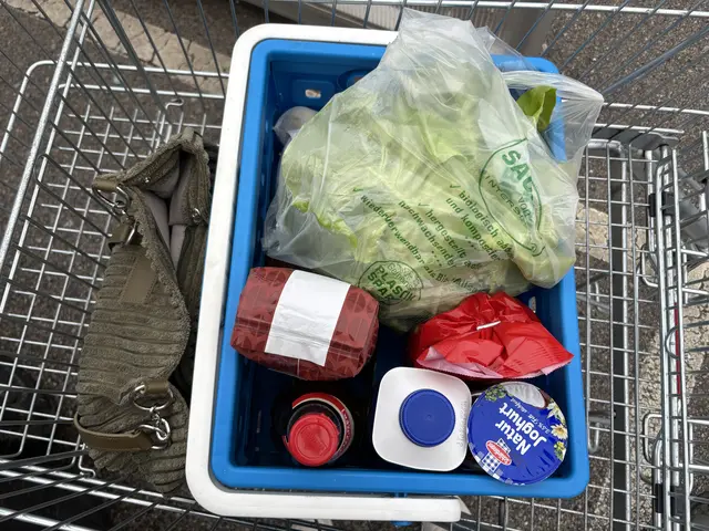 Der Einkaufswagen voller Hoffnung – die Ersparnis versteckt sich gut. | Foto: Alexandra Goll