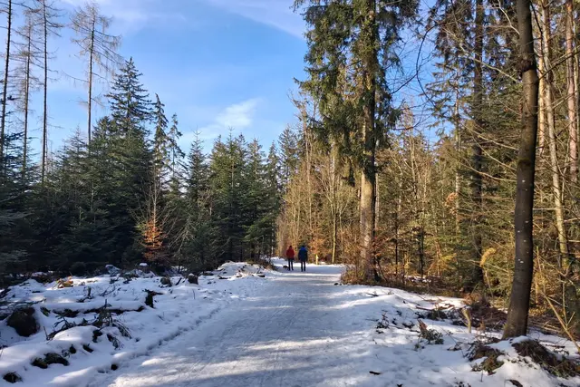 ....Spaziergang mit Hund.