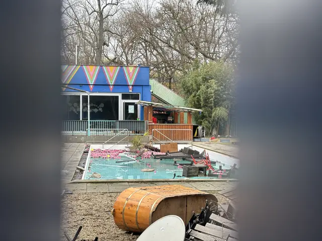 Im Pool schwimmen beschädigte Möbel. Die einstige Dekoration liegt im Garten verteilt herum.    | Foto: Matthias Pandrea/Mein Bezirk