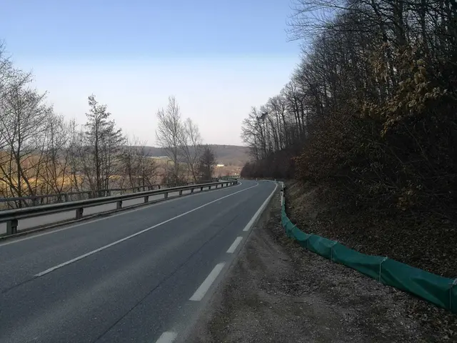 Der Amphibienzaun an der Hauptstraße vom Wienerwaldsee – er wird heuer rund einen Kilometer lang sein. | Foto: Amphibienschutz Wienerwaldsee