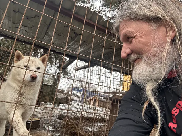 Der Tierschutzverein „RespekTiere“ brachte Hilfe für Mensch und Tier in die Ukraine: | Foto: RespekTiere