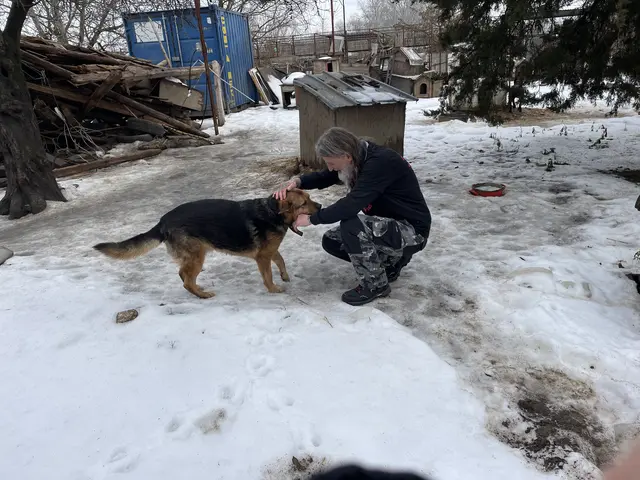Foto: RespekTiere