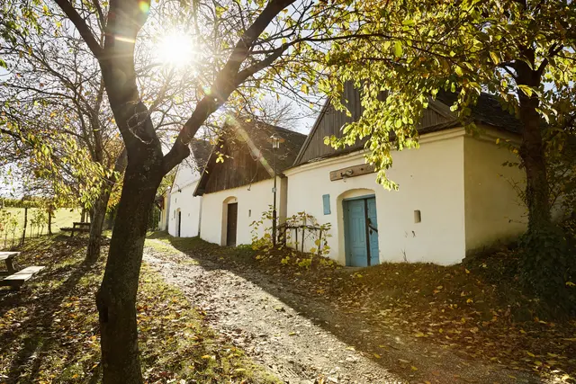Verstecktes entdecken im Bezirk Mistelbach. | Foto: Weinviertel Tourismus/Michael Liebert