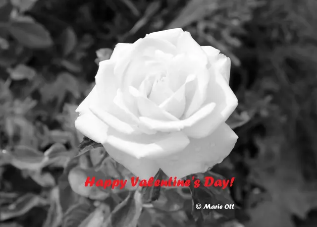 Happy Valentines Day