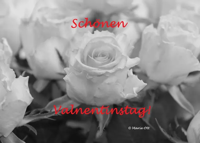 Schönen Valentinstag!