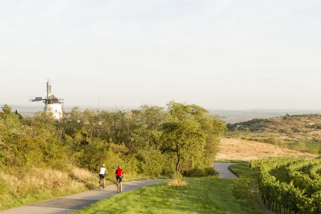 Wahrzeichen, Landschaft und perfekte Kulissen für sportliche Freizeitaktivitäten – im Bezirk Hollabrunn passt einfach alles. | Foto: Niederösterreich Werbung/Astrid Bartl