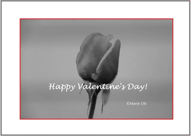 Happy Valentine's Day!