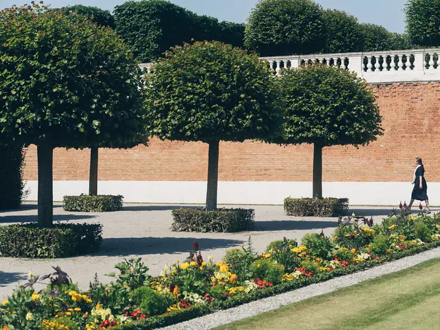 Historische Gebäude und Natur - all das findet der Besucher.  | Foto: NÖ Werbung/Ian Ehm