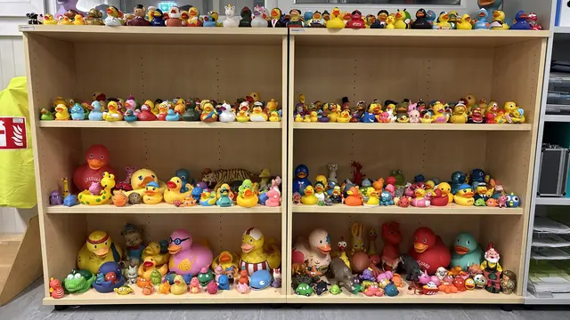 Quietsch-Enten landen immer wieder im Gelben Sack, obwohl sie keine Verpackung sind. | Foto: FOTOKERSCHI / WERNER KERSCHBAUMMAYR
