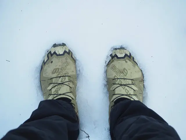 Meine Crosslaufschuhe greifen im Schnee zwar recht gut, auf dem Eis des "Wegerls" rutschen sie aber genauso wie alle anderen Schuhe :-)