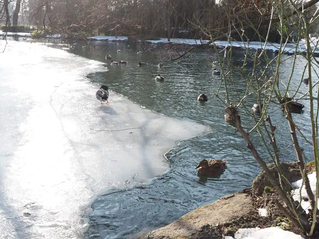 Bereits im Doblhoffpark gibt es viele Motive