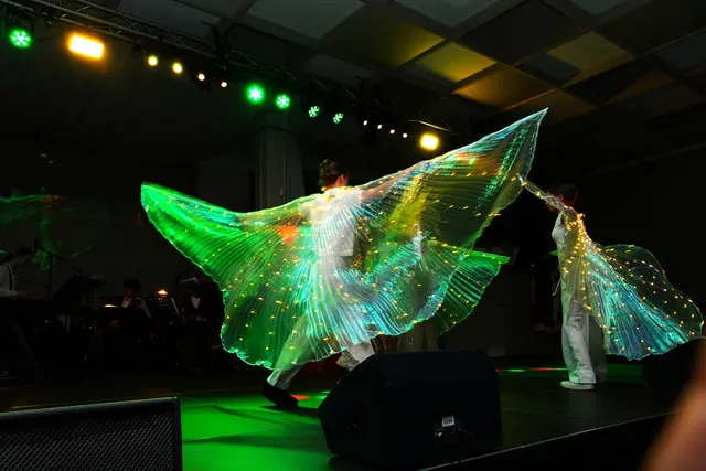 Tänzerische Szene mit markantem Outfit und wirkungsvoller Lichtgestaltung.
 | Foto: Nicole Schawill