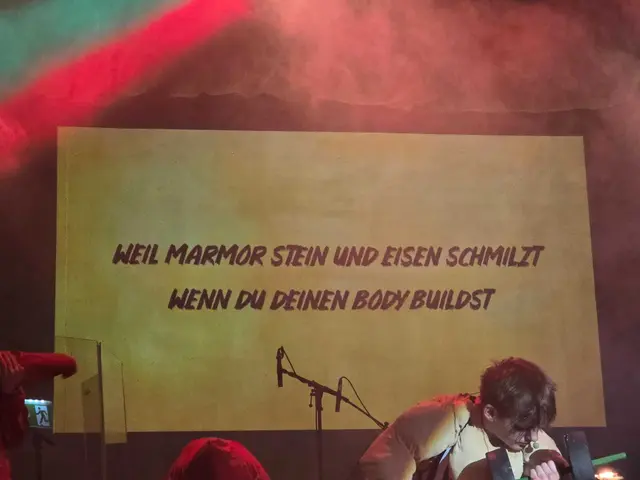 Typische EAV-Songtexte werden als Teil der Inszenierung eingeblendet.
 | Foto: Nicole Schawill