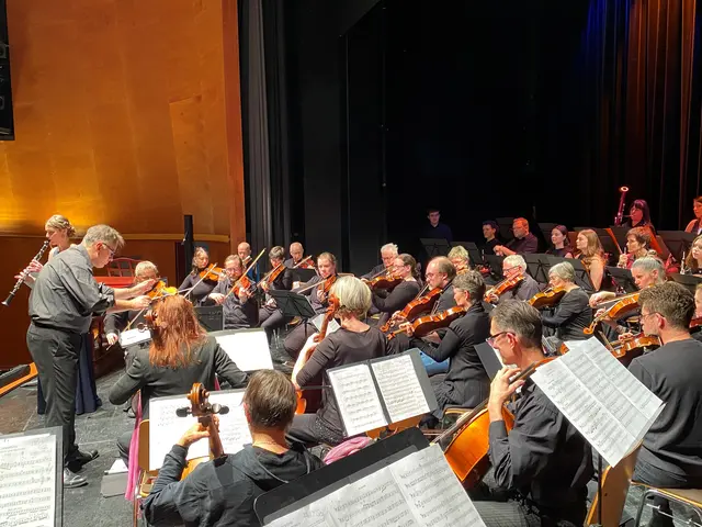 Das Kammerorchester mit Dirigent Venelin Filipov. | Foto: Musikum Hallein