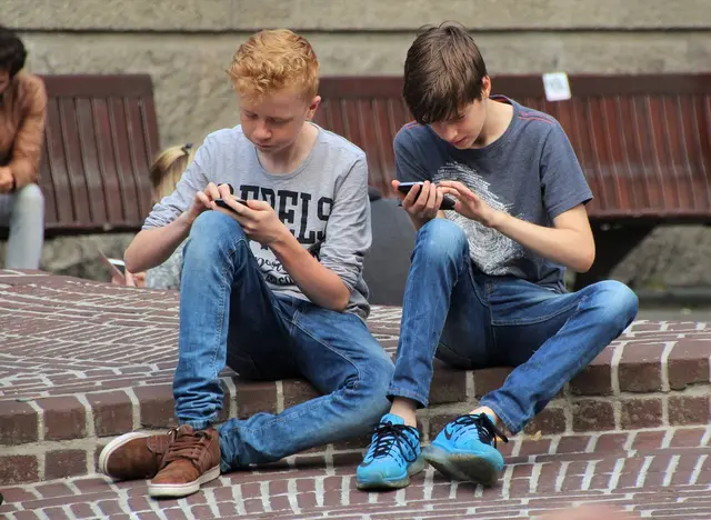 Bei den Workshops geht es unter anderem um den Umgang mit sozialen Netzwerken, den Schutz persönlicher Daten sowie um Risiken wie Cybermobbing oder Datenmissbrauch. | Foto: pixabay
