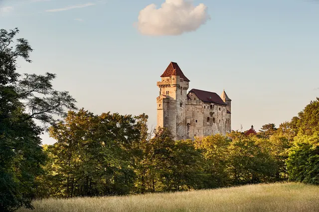 Burg Liechtenstein kann auf eine lange Geschichte verweisen und ist ein spannendes Ausflugsziel | Foto: Wienerwal Tourismus/Andreas Hofer