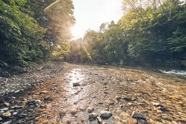 Das Helenental in der Region Schwechat – Naturhungrige kommen hier auf ihre Kosten. | Foto: Wienerwald Tourismus/Andreas Hofer