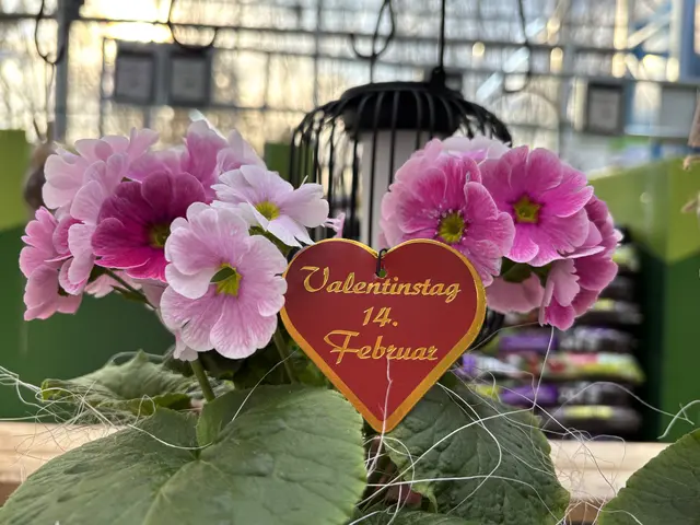 Blumen sind nach wie vor der Inbegriff eines Valentinsgrußes. | Foto: MeinBezirk/Gerda Sammer-Schmidt