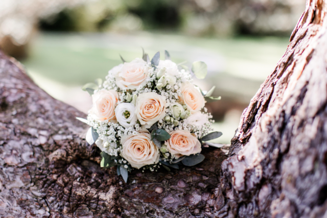 Sag’s mit Blumen – wir schenken 4 Glücksmomente zum Valentinstag | Foto: Gärtnerei Peer