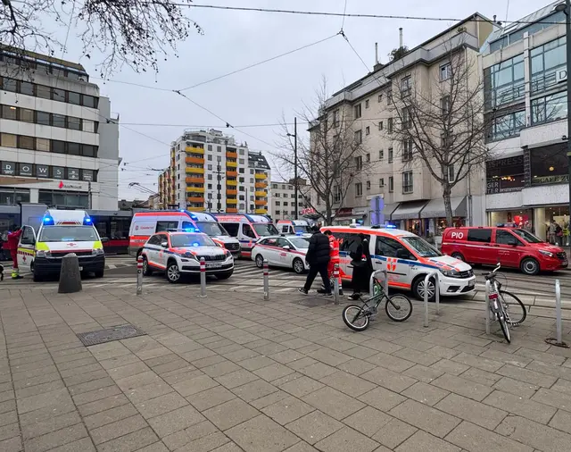 Foto: APA-Images / APA / MANUEL RISS