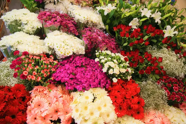 "Sag es durch die Blume" ist nicht nur das Motto des Valentinstags, sondern war früher eine verbreitete Kommunikationsform.  | Foto: Unsplash/ekrem osmanoglu