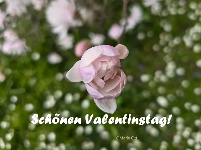 Schönen Valentinstag, Bild