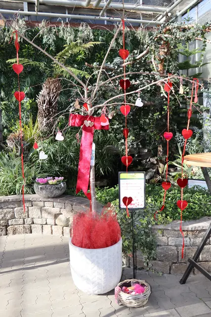 Am „Baum der Liebe“ können Besucher ihre kleinen Liebessprüche aufhängen.