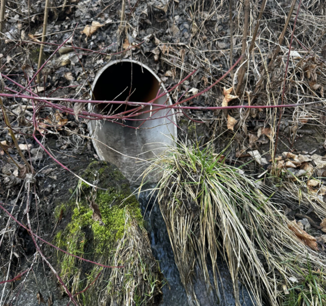 Hier floss eine blaue Flüssigkeit in die Lavant. | Foto: Wolfsberger Stadtwerke