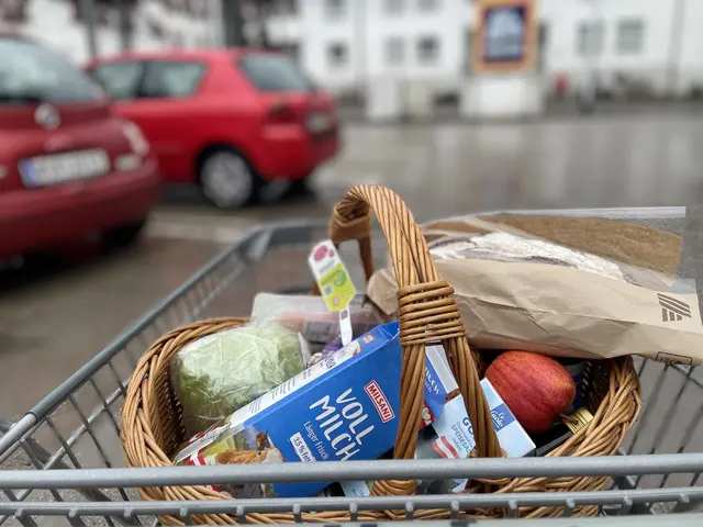 Einige, aber nicht alle Lebensmittel in diesem Korb sollen ab 1. Juli billiger werden. | Foto: MeinBezirk/Seebacher