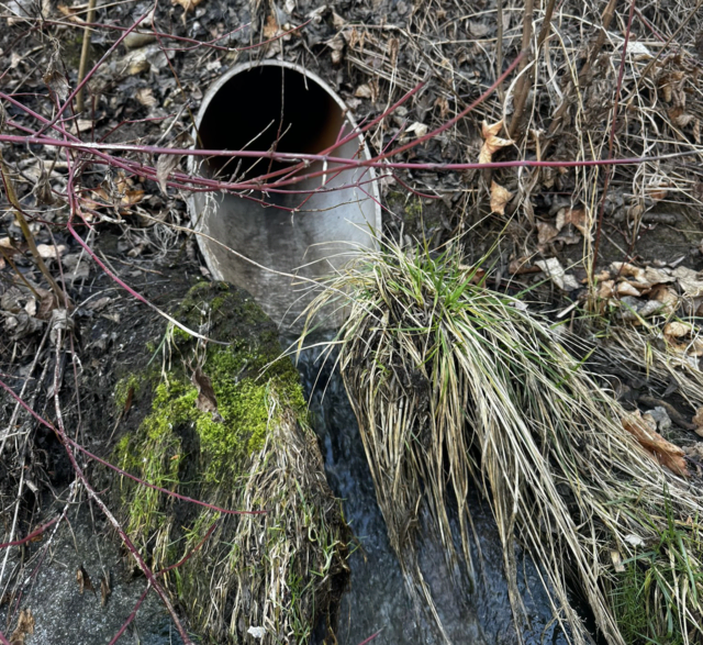 Hier floss eine blaue Fracht heraus und weiter in die Lavant. | Foto: Wolfsberger Stadtwerke